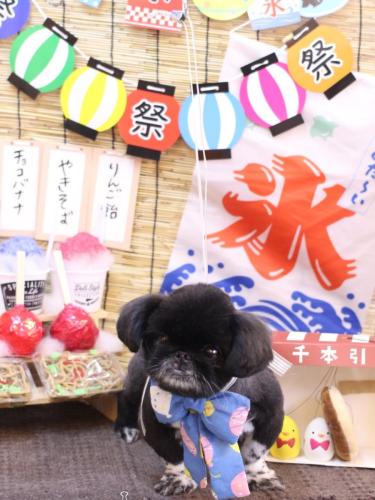 20240706つきみちゃん